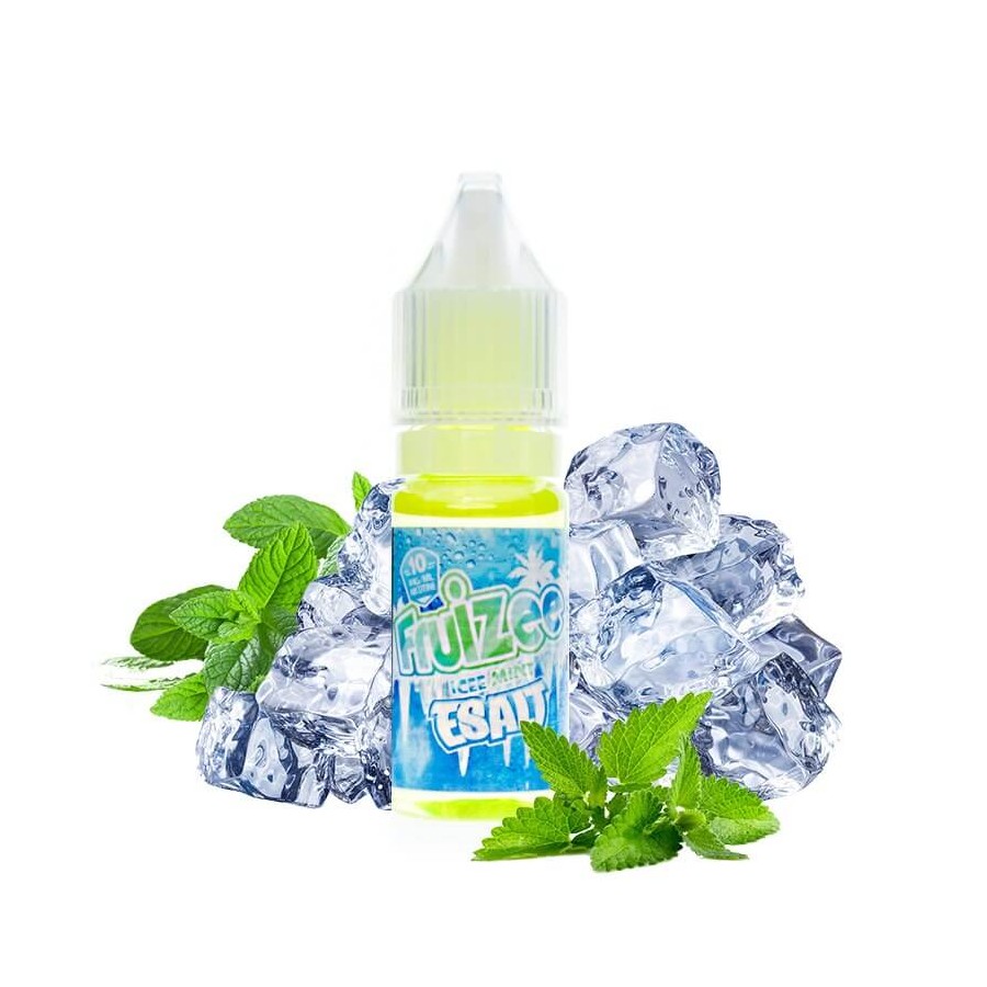 icee-mint-nic-salt-10ml-20mg-fruizee.jpg_1