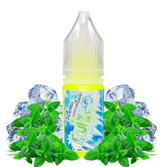 aroma-icee-mint-10ml-fruizee8.jpg_1