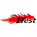 EFEST